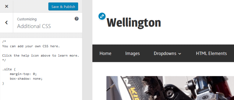 Custom CSS Code – ThemeZee