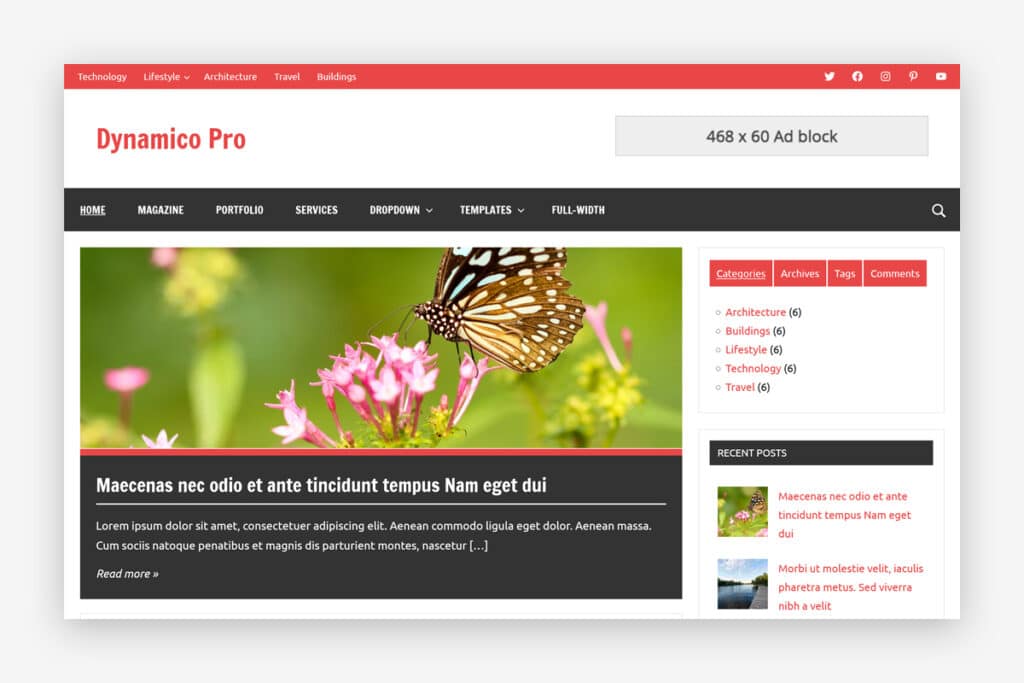 Dynamico Pro – ThemeZee